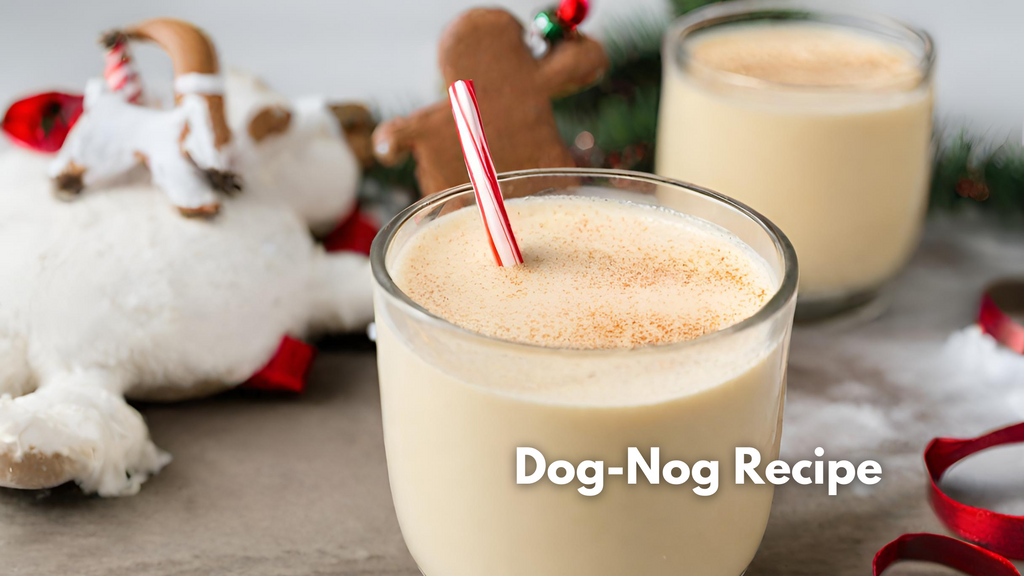 Dognog best sale