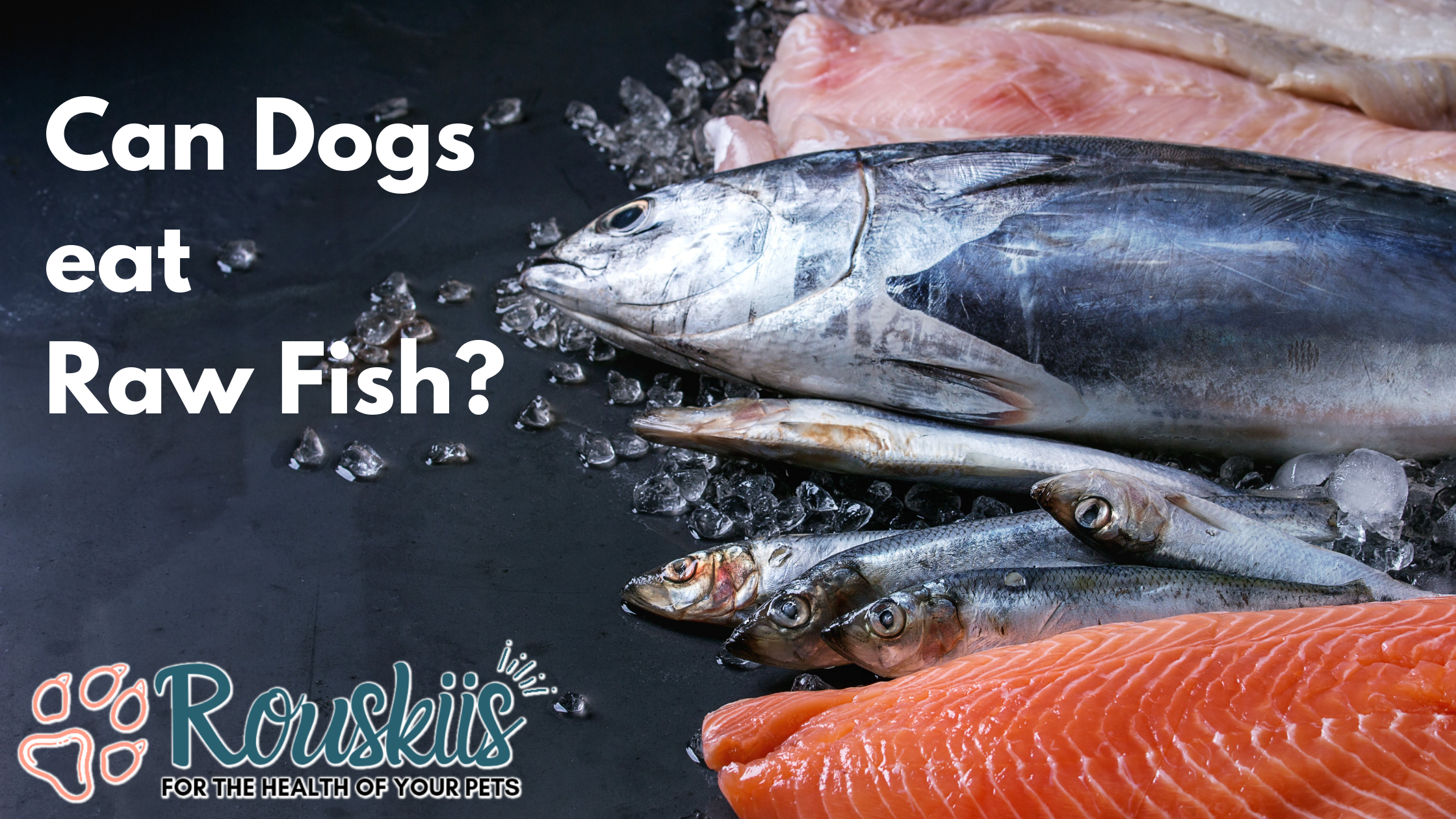 Can you give dogs raw fish best sale